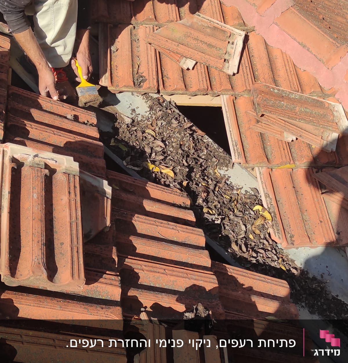 אדם מנקה עלים מגג רעפים אדום